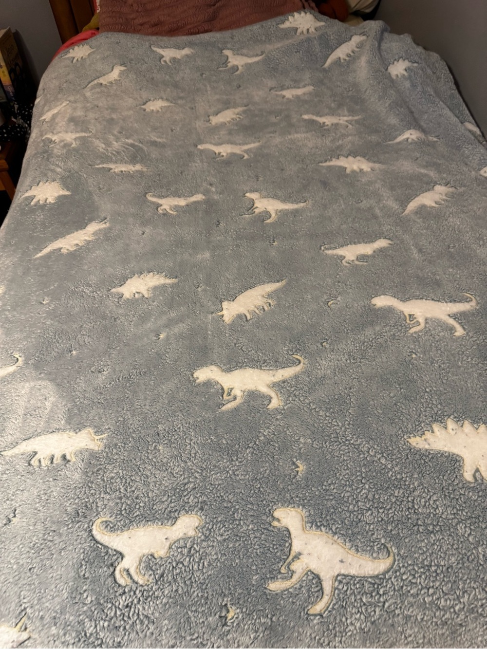 Dinosaur Gray And White Fleece Blanket Throw Kids Teen Bedding Bedroom Bedding